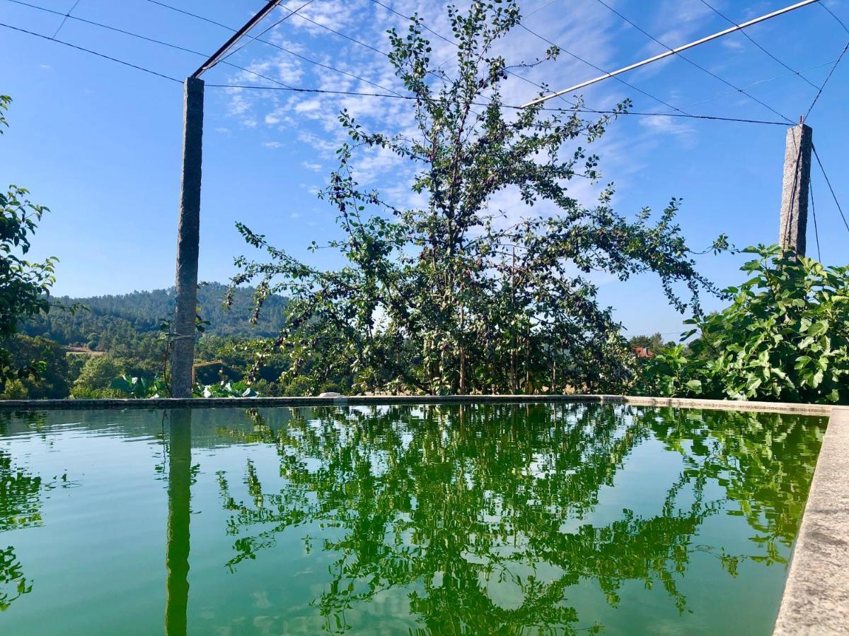 Willa Casa Da Quinta Da Prelada Simao Celorico De Basto Zewnętrze zdjęcie