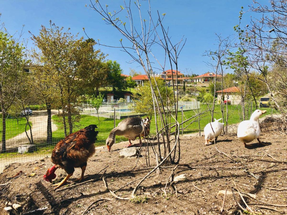 Willa Casa Da Quinta Da Prelada Simao Celorico De Basto Zewnętrze zdjęcie